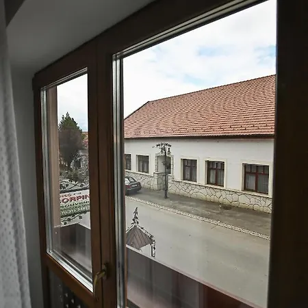Panzió Vaskó Panzió Borpince