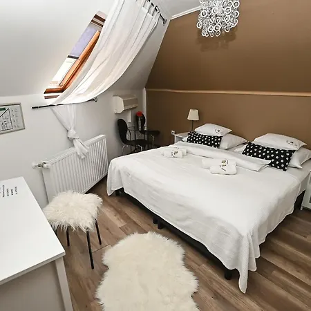 Vaskó Panzió Borpince Panzió 3*