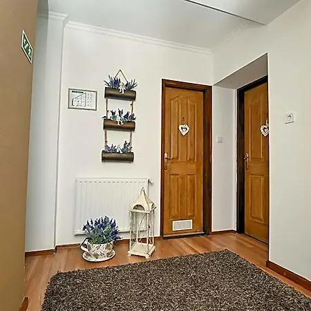 Vasko Panzio Borpince Bed & Breakfast 3*