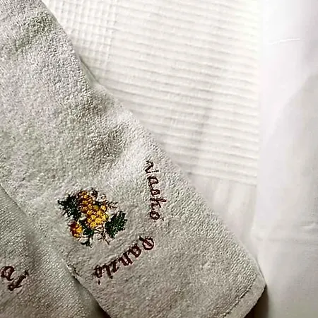 Alojamento de Acomodação e Pequeno-almoço Vaskó Panzió Borpince 3*
