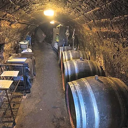 Vasko Panzio Borpince Couette-café Tokaj