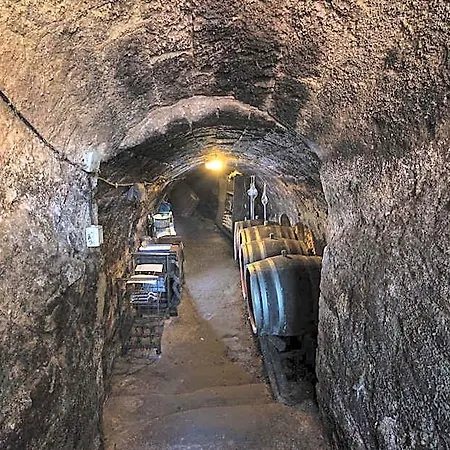 Vaskó Panzió Borpince Alojamento de Acomodação e Pequeno-almoço Tokaj