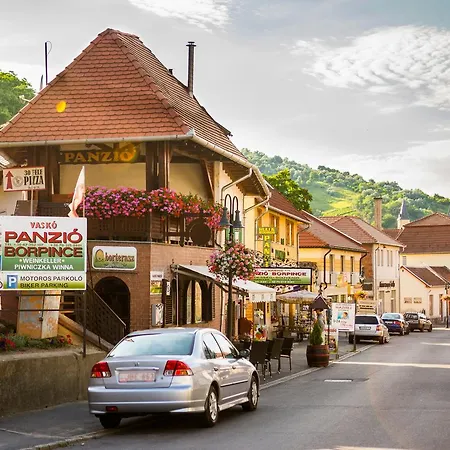 Vaskó Panzió Borpince 3*