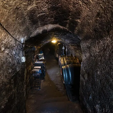 Vaskó Panzió Borpince 3*