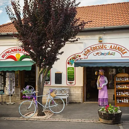 Vaskó Panzió Borpince Panzió Tokaj